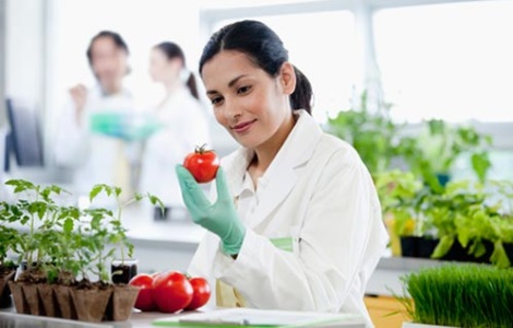 Polizze assicurative agronomi a forestali